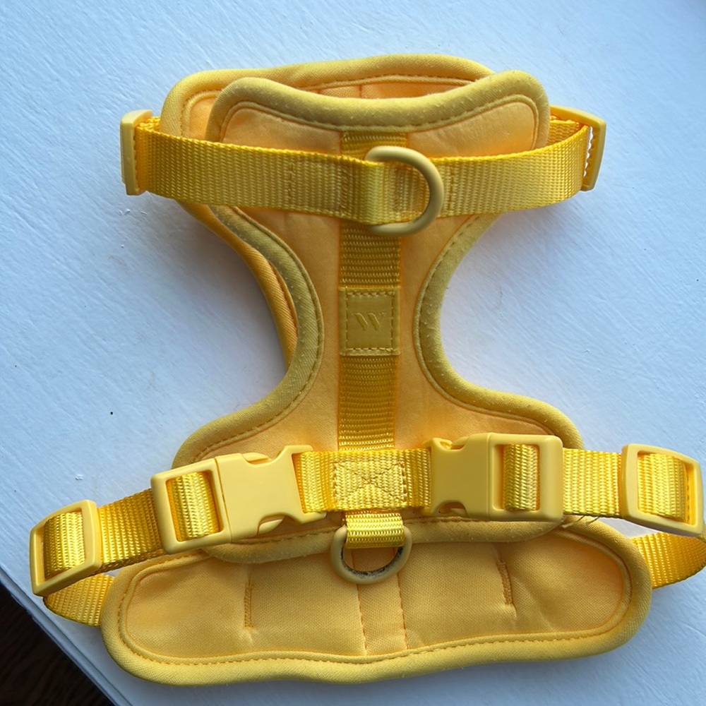 WILD ONE dog harness butter yellow
